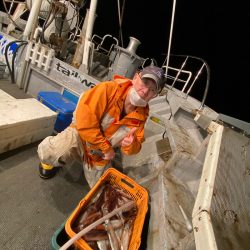 シーランチ 釣果