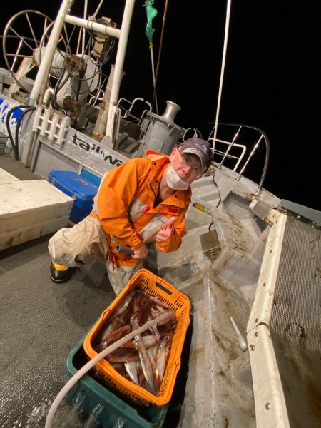 シーランチ 釣果