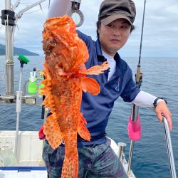 遊漁船ブルーウッズ 釣果