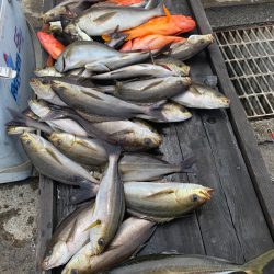 晃山丸 釣果