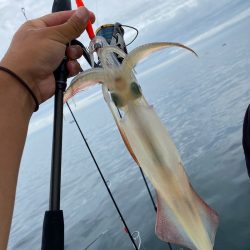 「LaGooN」蒼陽丸 日和号 釣果