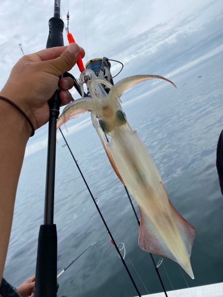 「LaGooN」蒼陽丸 日和号 釣果