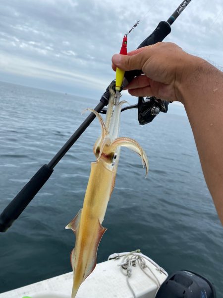 「LaGooN」蒼陽丸 日和号 釣果