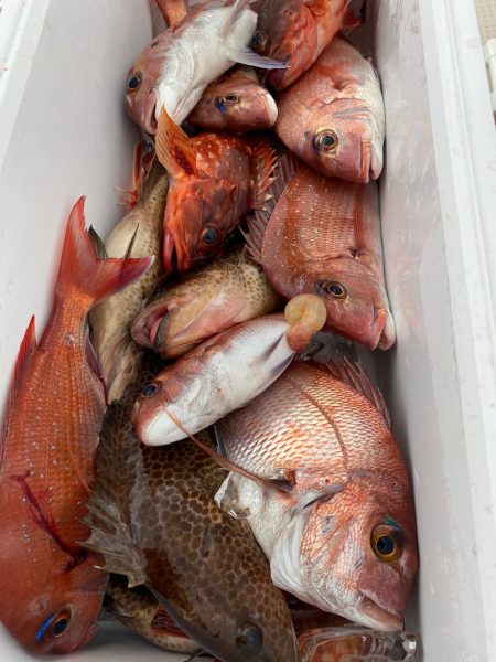 龍神丸(鹿児島) 釣果