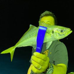 あみや渡船 JIGBOY 釣果