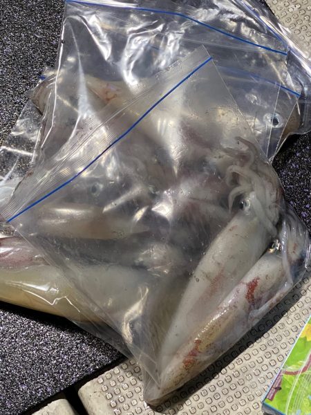 あみや渡船 JIGBOY 釣果