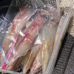 あみや渡船 JIGBOY 釣果