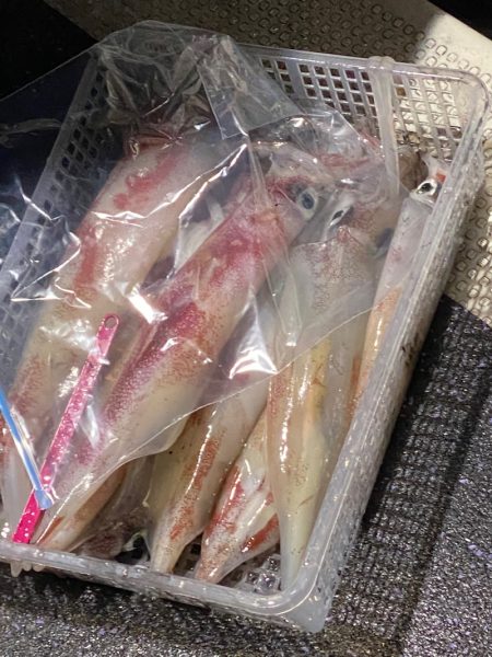 あみや渡船 JIGBOY 釣果