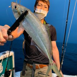 愛海丸 釣果