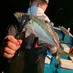 愛海丸 釣果