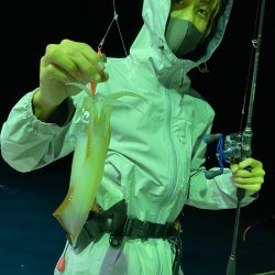 あみや渡船 JIGBOY 釣果