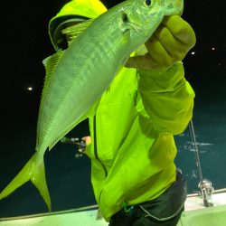 あみや渡船 JIGBOY 釣果