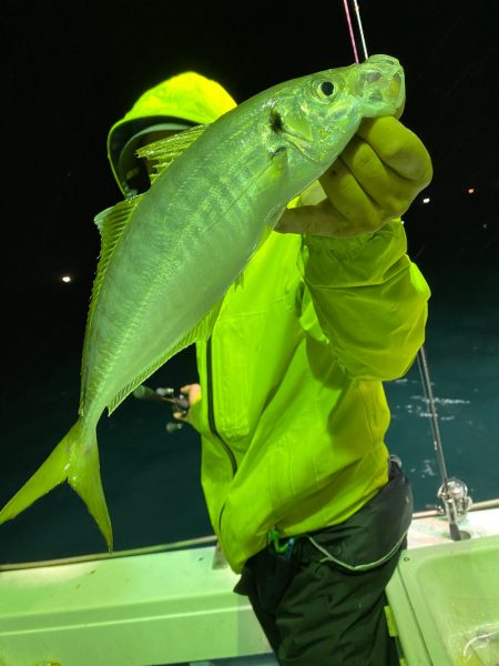 あみや渡船 JIGBOY 釣果