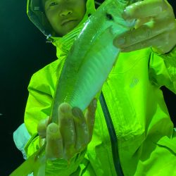 あみや渡船 JIGBOY 釣果