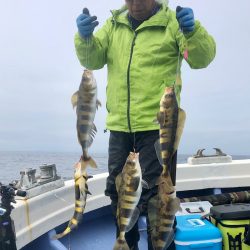 第二 つれたか丸 釣果