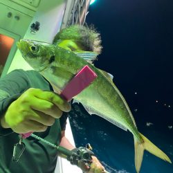 あみや渡船 JIGBOY 釣果