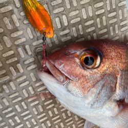 龍神丸(鹿児島) 釣果