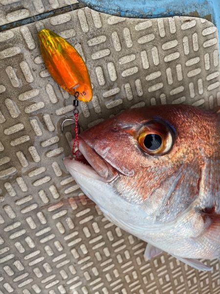 龍神丸(鹿児島) 釣果