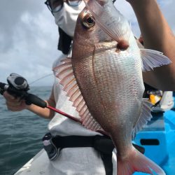 太平丸 釣果