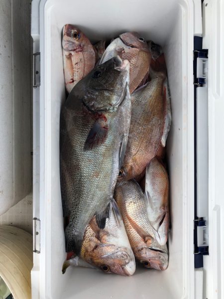 フィッシング キッタカ 釣果