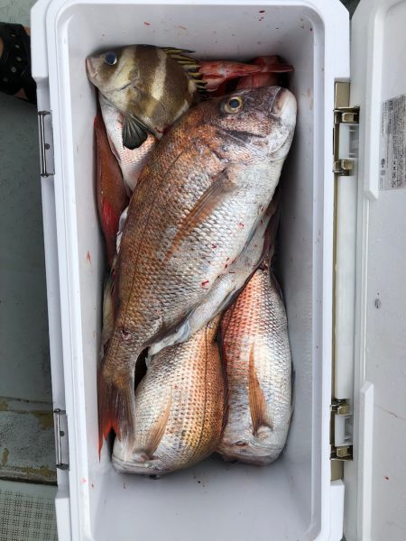 フィッシング キッタカ 釣果