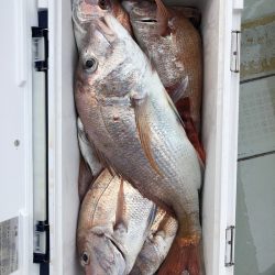 フィッシング キッタカ 釣果