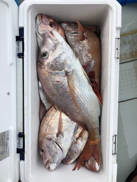 フィッシング キッタカ 釣果