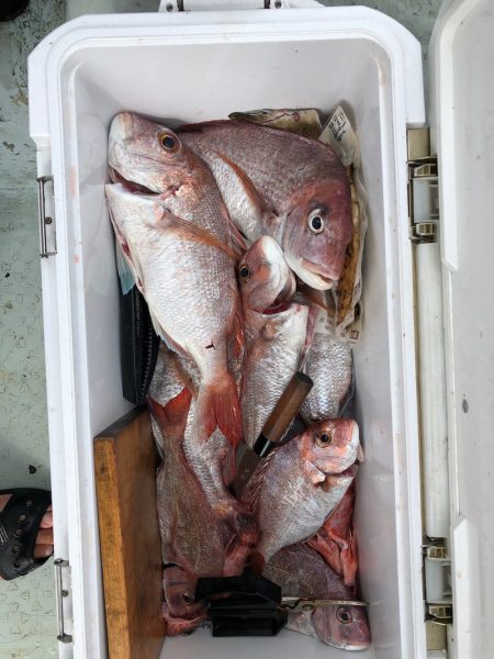 フィッシング キッタカ 釣果