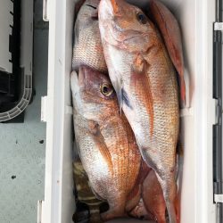 フィッシング キッタカ 釣果