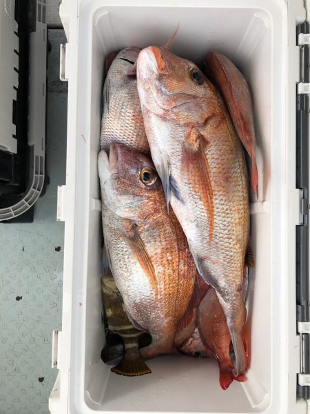 フィッシング　キッタカ 釣果