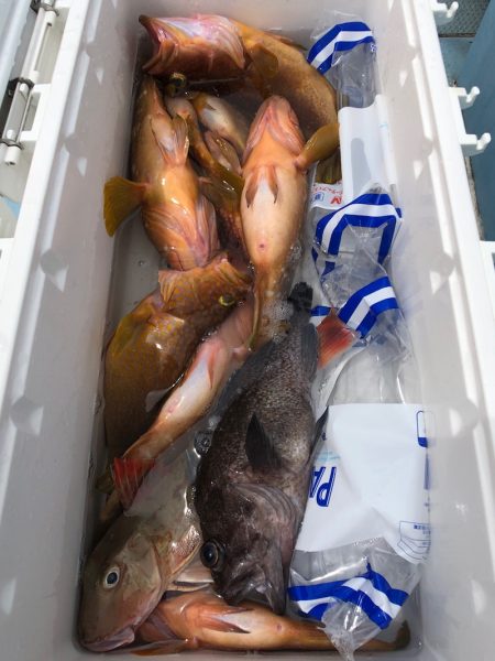 第二八坂丸 釣果