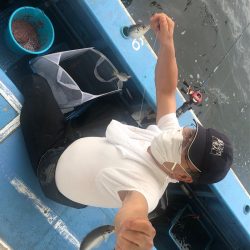 ヤザワ渡船 釣果