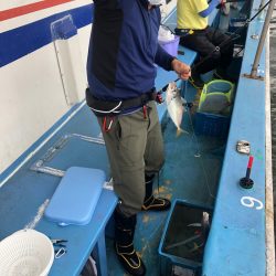 ヤザワ渡船 釣果