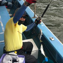 ヤザワ渡船 釣果