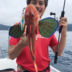 渡船屋たにぐち 釣果