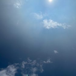 龍神丸（鹿児島） 釣果