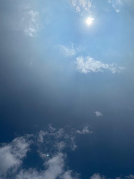 龍神丸（鹿児島） 釣果