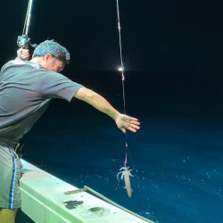 あみや渡船 JIGBOY 釣果