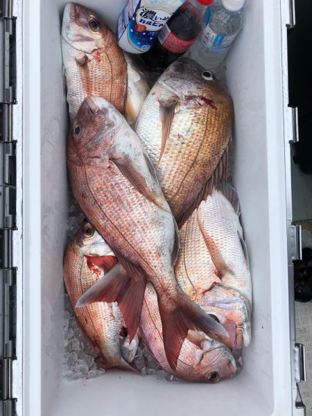 フィッシング キッタカ 釣果