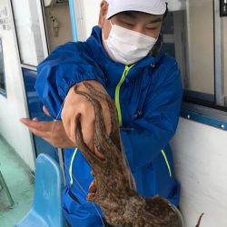 ヤザワ渡船 釣果