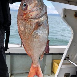 フィッシング キッタカ 釣果