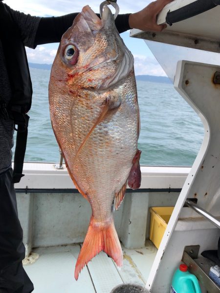 フィッシング キッタカ 釣果