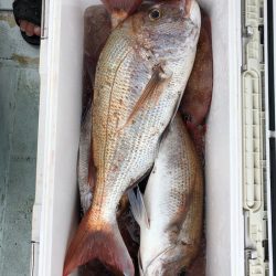 フィッシング キッタカ 釣果