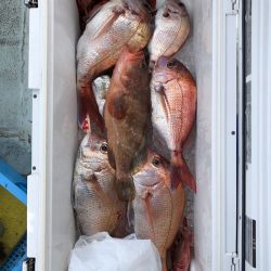 フィッシング キッタカ 釣果