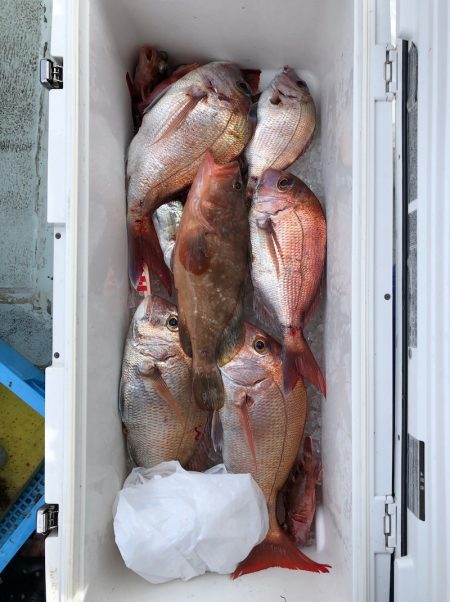 フィッシング キッタカ 釣果