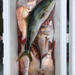 フィッシング キッタカ 釣果