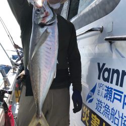 フィッシング キッタカ 釣果