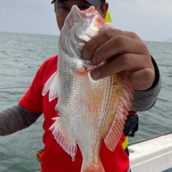 あみや渡船 JIGBOY 釣果