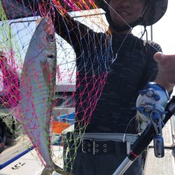 フィッシング キッタカ 釣果