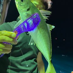 あみや渡船 JIGBOY 釣果